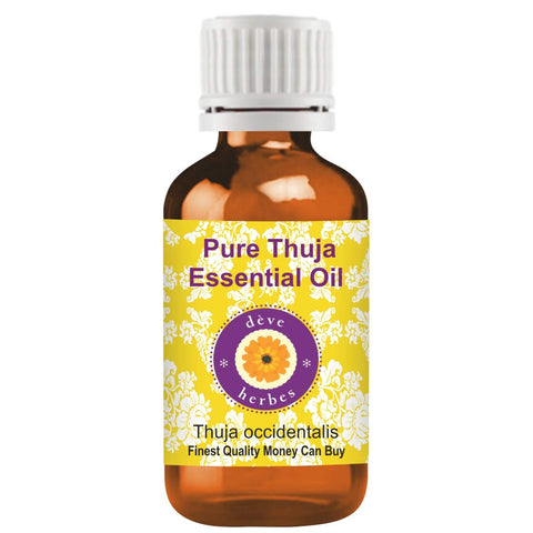 Deve Herbes Pure Thuja Essential Oil (Thuja occidentalis)Ã‚Â Steam Distilled 30ml