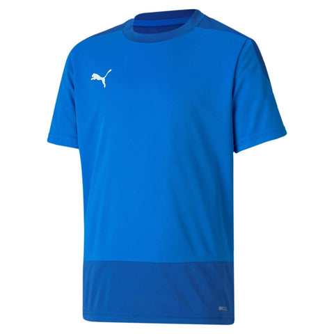 PUMA Boys' Team Goal 23 Training Jersey Jr T-Shirt, Electric Blue Lemonade-Team Power Blue, 164
