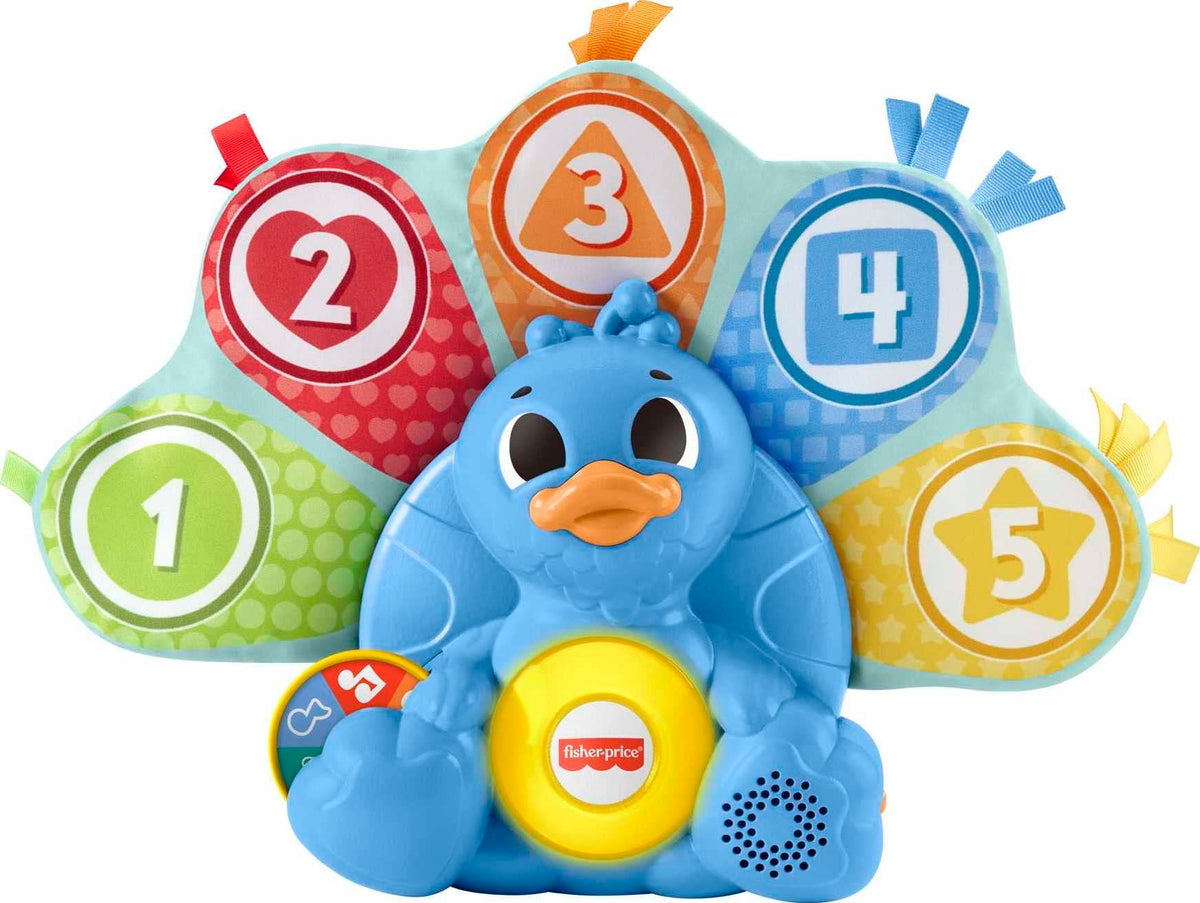 Fisher-Price FP Infant HNN78 Toy