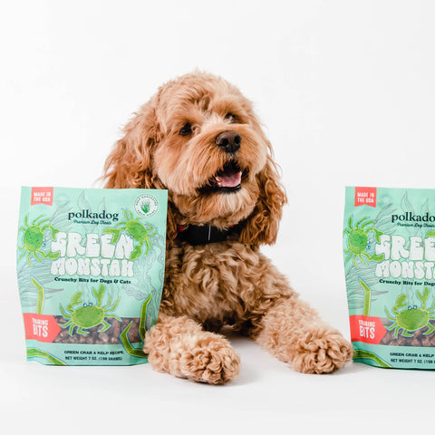 Polkadog Green Monstah Bits Crunchy Treats - Dog Treat for Small & Large Dogs with Vitamin-Rich Kelp, Omega-3, Protein - New England Green Crab & Kelp Blend - Training Size