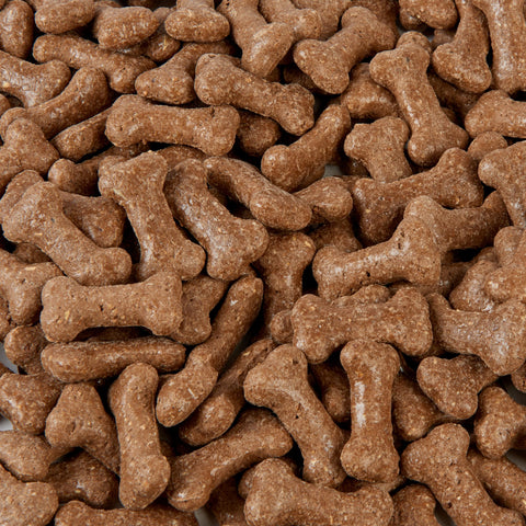 Dog Biscuit Treats 2.5L (Beef Gravy Bones)